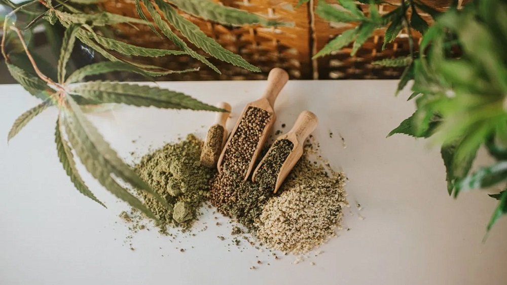 Uttarakhand Food : पहाड़ के लोग सब्जी बनाते समय क्यों मिलाते हैं भांग के दाने? Uttarakhand Food