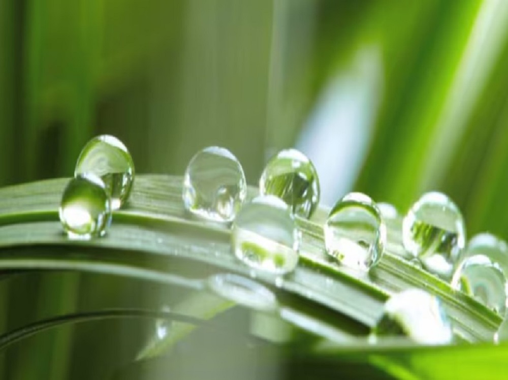 WaterBubbleRound : पानी का बुलबुला गोल क्यों होता है ? WaterBubbleRound