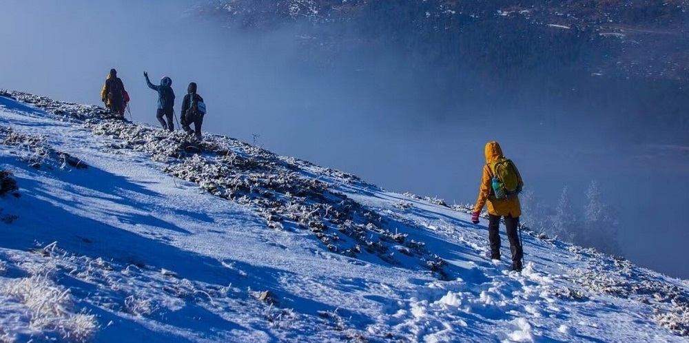 UttarakhandRain : खराब मौसम के कारण उच्च हिमालयी क्षेत्रों में पर्यटकों की आवाजाही पर लगी अस्थायी रोक UttarakhandRain