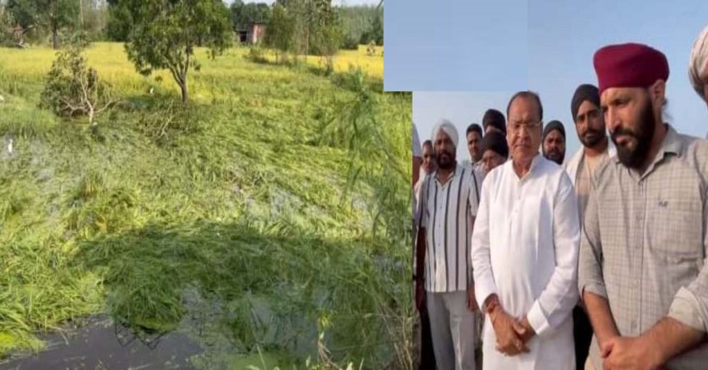 YashpalArya