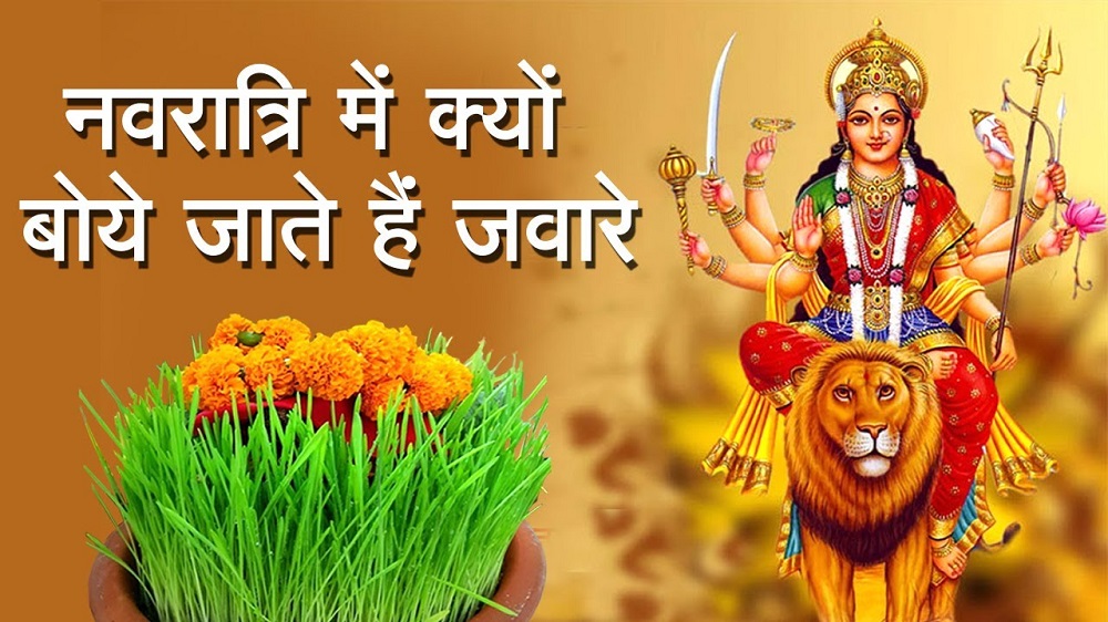 ShardiyaNavratri : नवरात्रि में जौ बोने की क्या है वजह ? ShardiyaNavratri